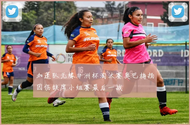 加蓬队无缘非洲杯淘汰赛奥巴梅扬因伤缺席小组赛最后一战